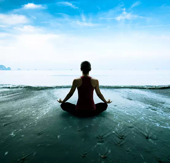 Solh Wellness